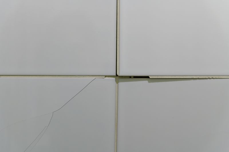 Specialized Tile Repair Services